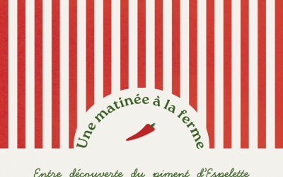 Une matinée à la ferme